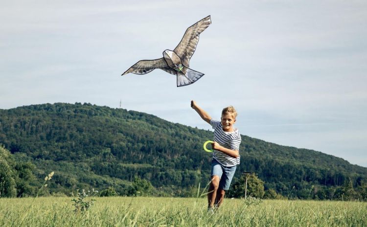 Haba Terra Kids Vlieger 'Adelaar' (306016) - SPADT - speelgoed met advies