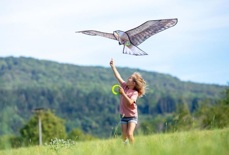 Haba Terra Kids Vlieger 'Adelaar' (306016) - SPADT - speelgoed met advies