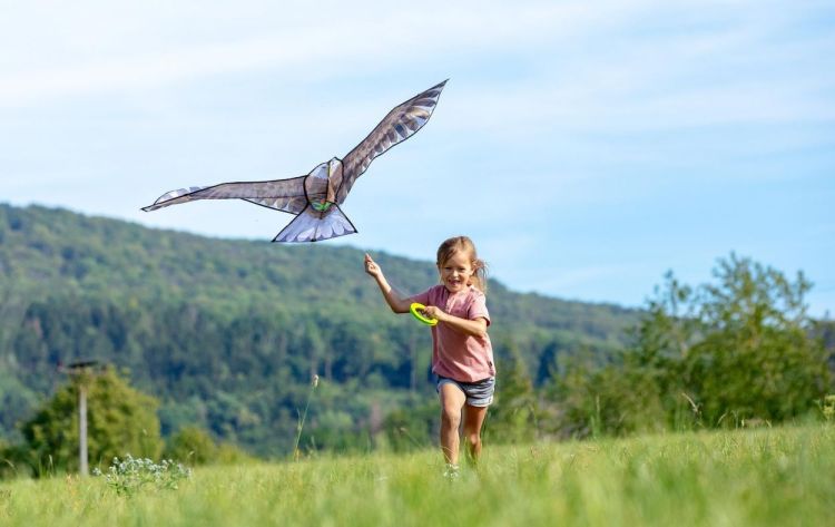 Haba Terra Kids Vlieger 'Adelaar' (306016) - SPADT - speelgoed met advies