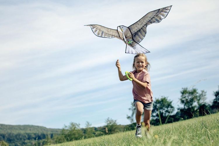 Haba Terra Kids Vlieger 'Adelaar' (306016) - SPADT - speelgoed met advies