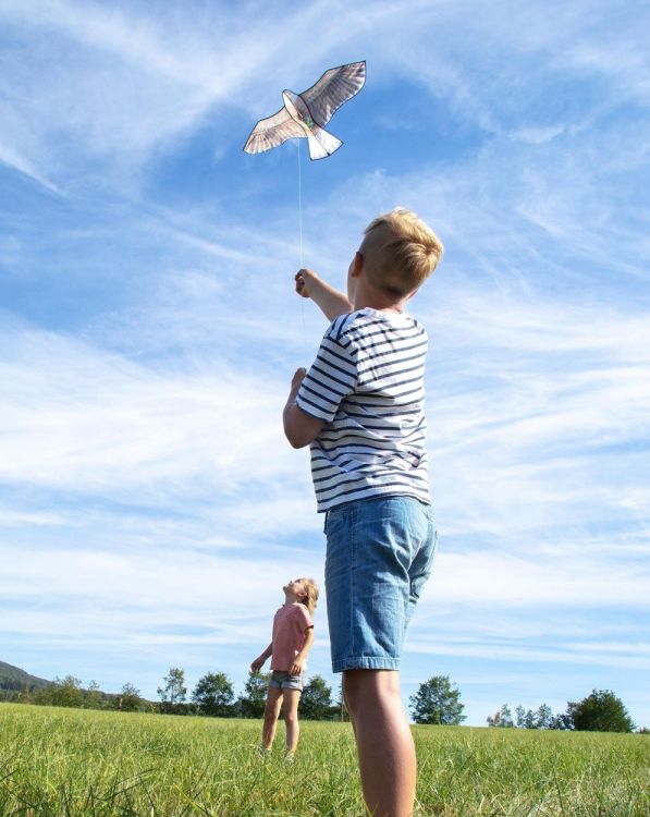 Haba Terra Kids Vlieger 'Adelaar' (306016) - SPADT - speelgoed met advies