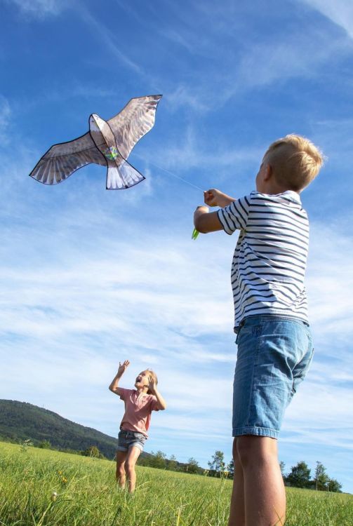 Haba Terra Kids Vlieger 'Adelaar' (306016) - SPADT - speelgoed met advies