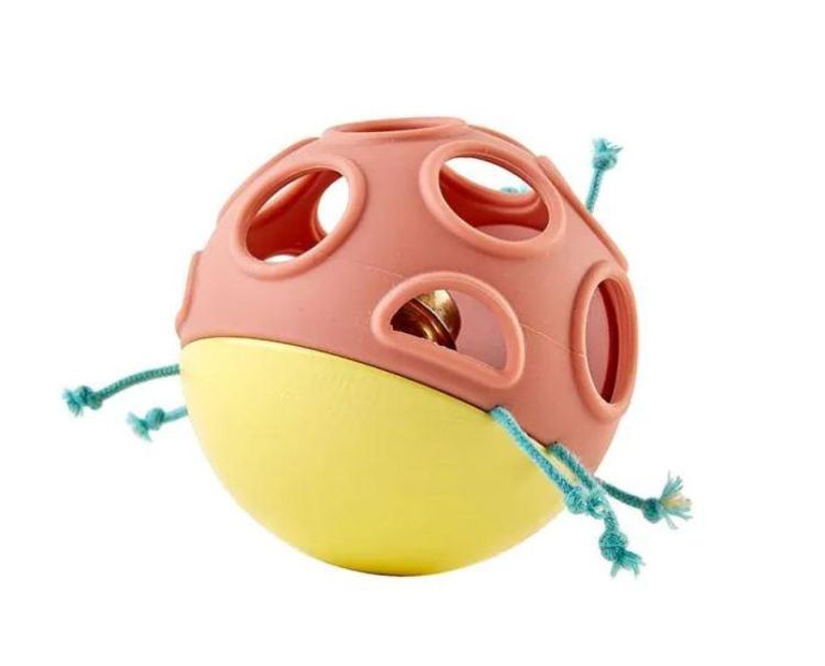 Hape Busy Bug Roll (E8522) - SPADT - speelgoed met advies