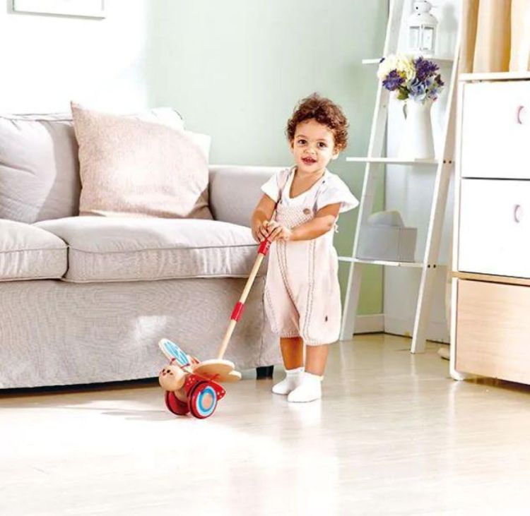 Hape Duwstok Vlinder (E0340) - SPADT - speelgoed met advies