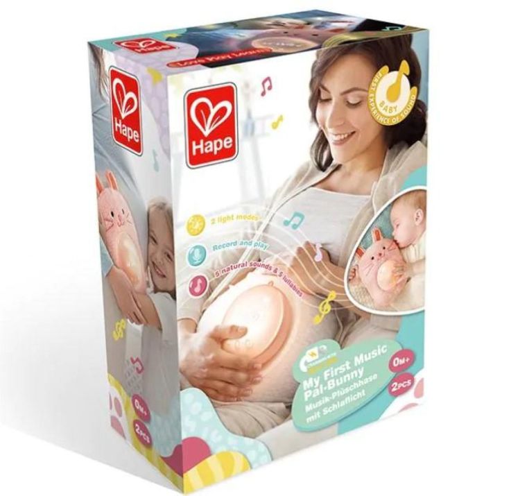 Hape My Music Pal-Huggy Roro (E0114) - SPADT - speelgoed met advies