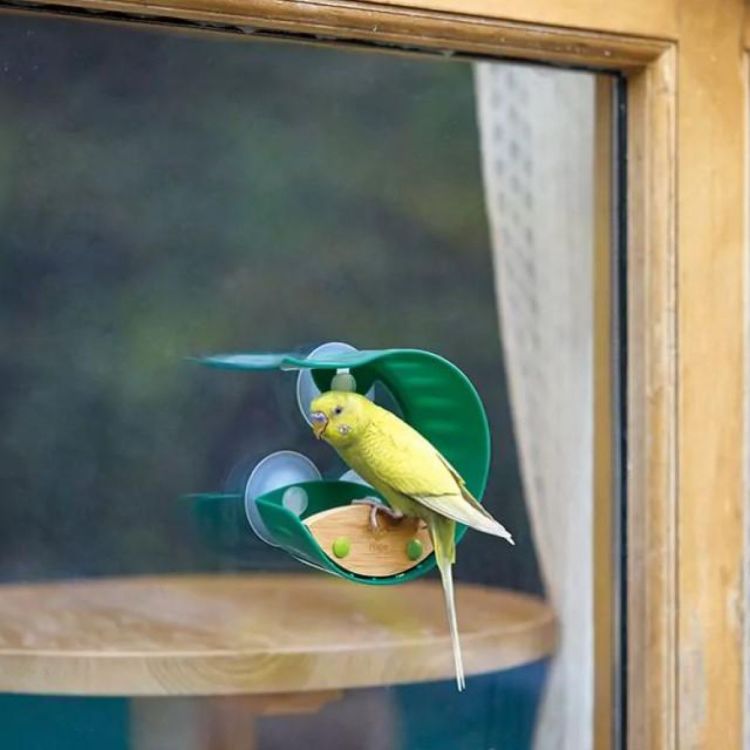 Hape Voederbakje Vogels (E5585) - SPADT - speelgoed met advies