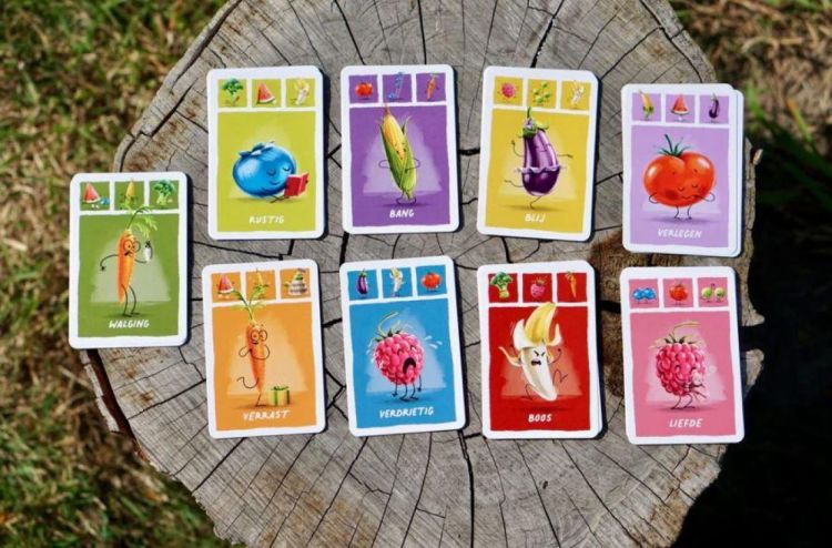 Höngry Framboos Emotiekaartspel () - SPADT - speelgoed met advies