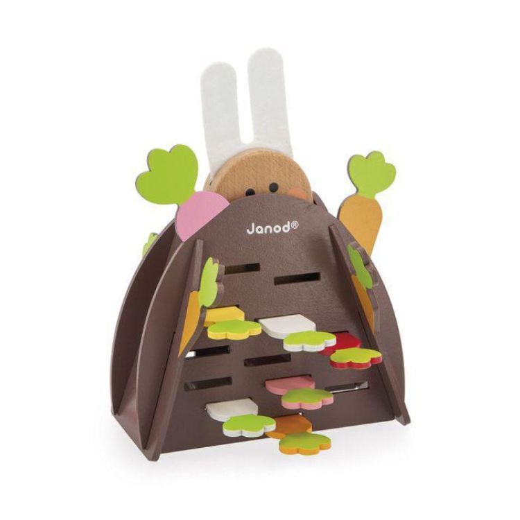 Janod Magic Carrot (J02473) - SPADT - speelgoed met advies