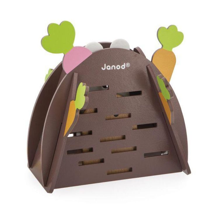 Janod Magic Carrot (J02473) - SPADT - speelgoed met advies