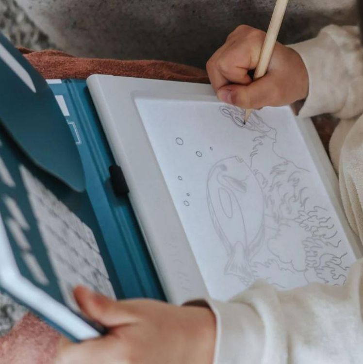 Kidywolf Kidydraw Pad Animals (KIDYDRAW-PAD8-ANI) - SPADT - speelgoed met advies