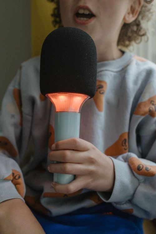 Kidywolf KidyMic Karaoke Microfoon Green (KIDYMIC-GR) - SPADT - speelgoed met advies
