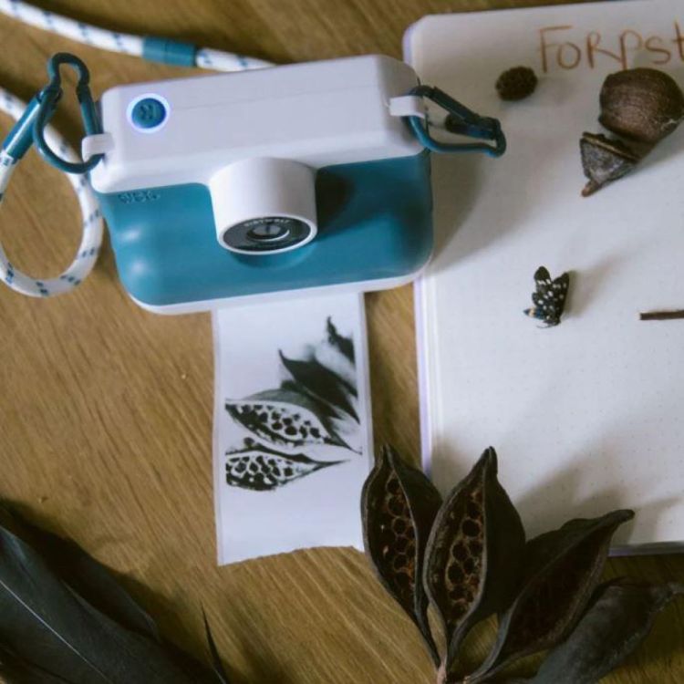 Kidywolf K-Print Blauw (K-PRINT-BU) - SPADT - speelgoed met advies