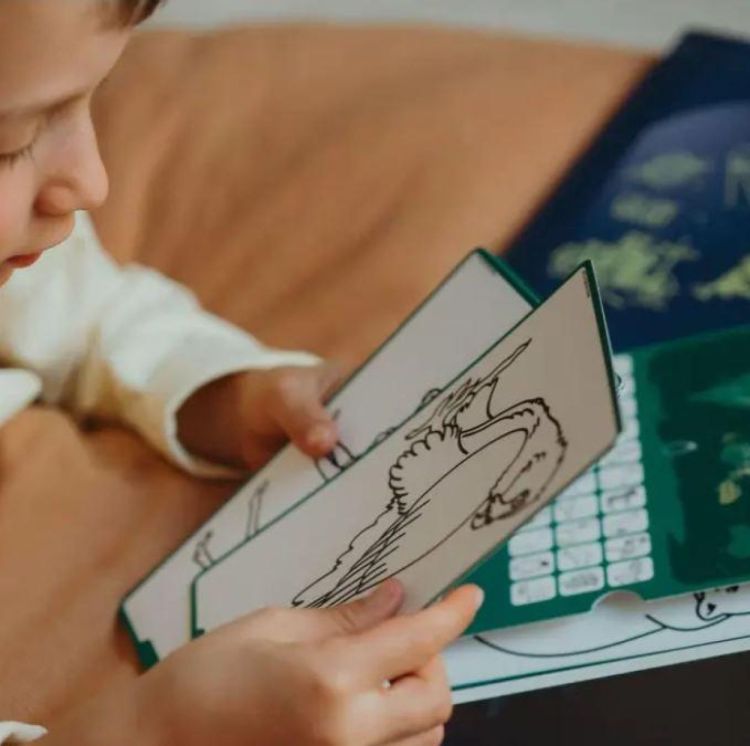 Kidywolf Refill Kidydraw Mini Animals of The World & Ocean Pirates (REFIL-DRAW-MINI-AAW-OPI) - SPADT - speelgoed met advies