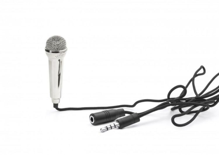 Kikkerland Mini Karaoke Microfoon (kik-us133-eu) - SPADT - speelgoed met advies