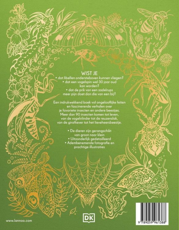 Lannoo Uitgeverij Het Dikke Boek van alle Bijzondere Insecten en andere beestjes (LE61388) - SPADT - speelgoed met advies