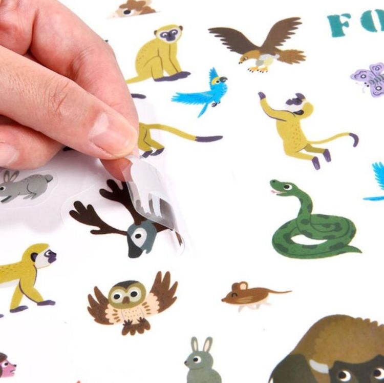 Mideer Herbruikbare Stickers Fun Life (MD1014) - SPADT - speelgoed met advies