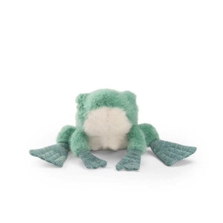 Moulin Roty Kikker Autour du Monde (719052) - SPADT - speelgoed met advies
