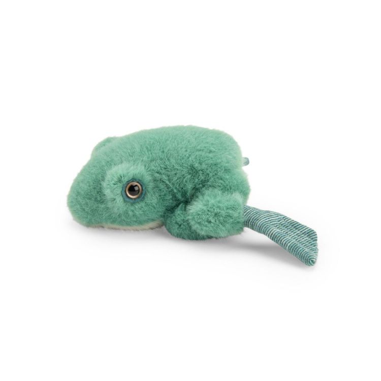 Moulin Roty Kikker Autour du Monde (719052) - SPADT - speelgoed met advies