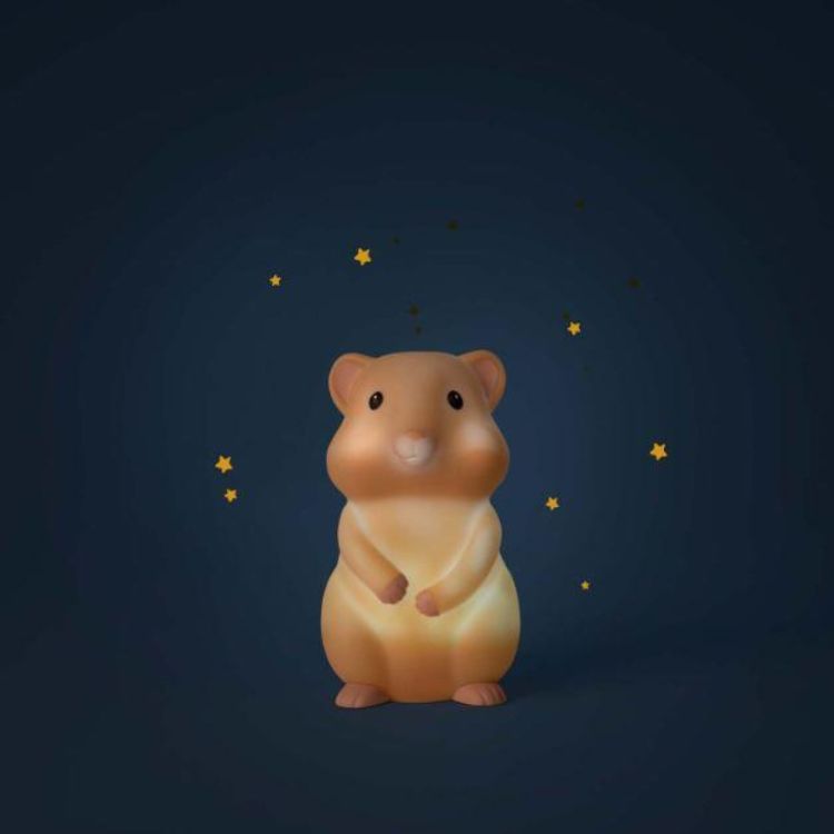 Moulin Roty Nachtlampje Hamster Puce & Pilou (684045) - SPADT - speelgoed met advies
