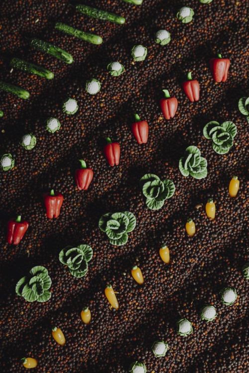 Petit Boum Sensorische Fles Groenten (PBLVEGGIES) - SPADT - speelgoed met advies