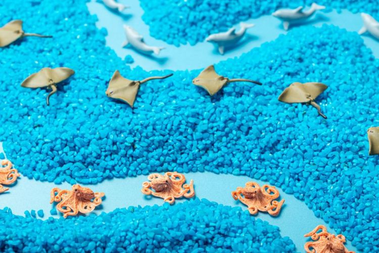 Petit Boum Sensorische Fles Zee (PBSPYSEA) - SPADT - speelgoed met advies