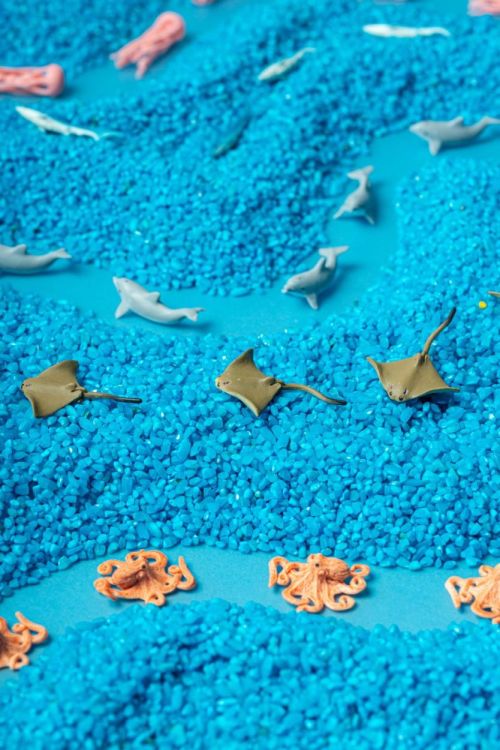 Petit Boum Sensorische Fles Zee (PBSPYSEA) - SPADT - speelgoed met advies