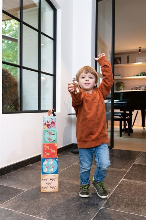 Scratch Stapeltoren 'Dieren van de Wereld' (6181118) - SPADT - speelgoed met advies