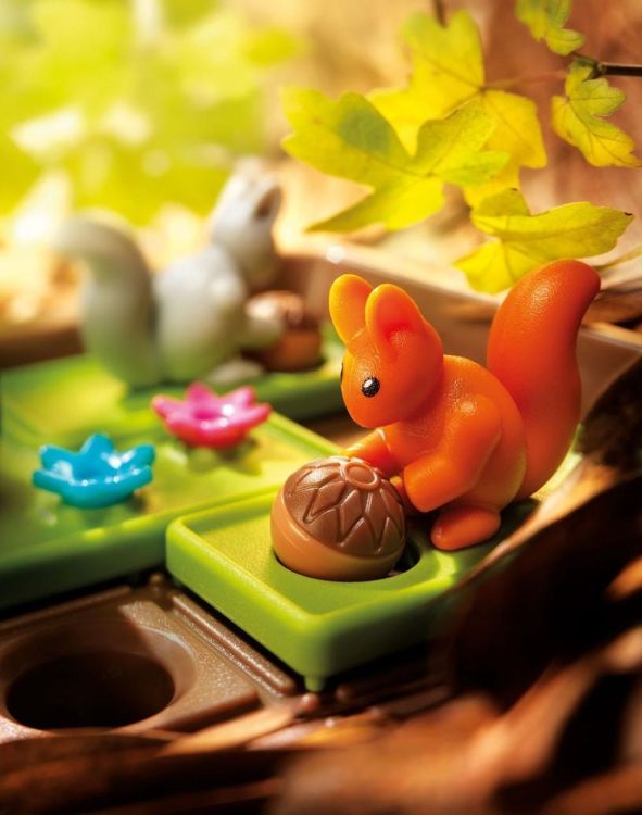 SmartGames Squirrels Go Nuts (SG425) - SPADT - speelgoed met advies