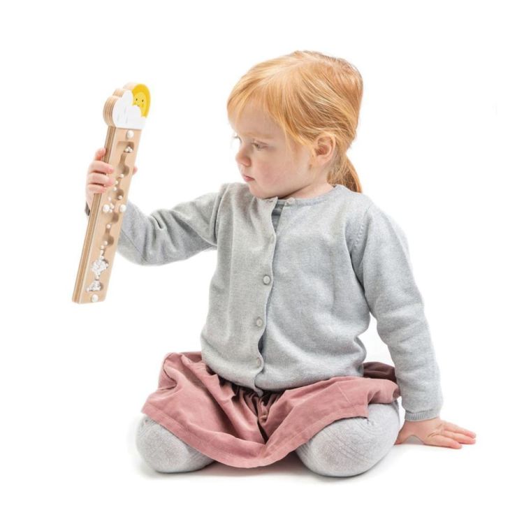 Tender Leaf Toys Houten Regenmaker (4608345) - SPADT - speelgoed met advies