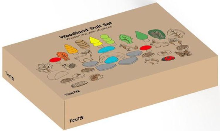 TickiT Houten Sorteerbox 'Thema: Het Bos' (73552) - SPADT - speelgoed met advies