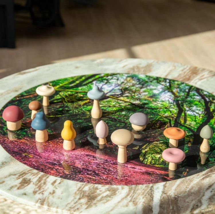 TickiT SiliSoft Woodland Paddenstoelen (54569) - SPADT - speelgoed met advies