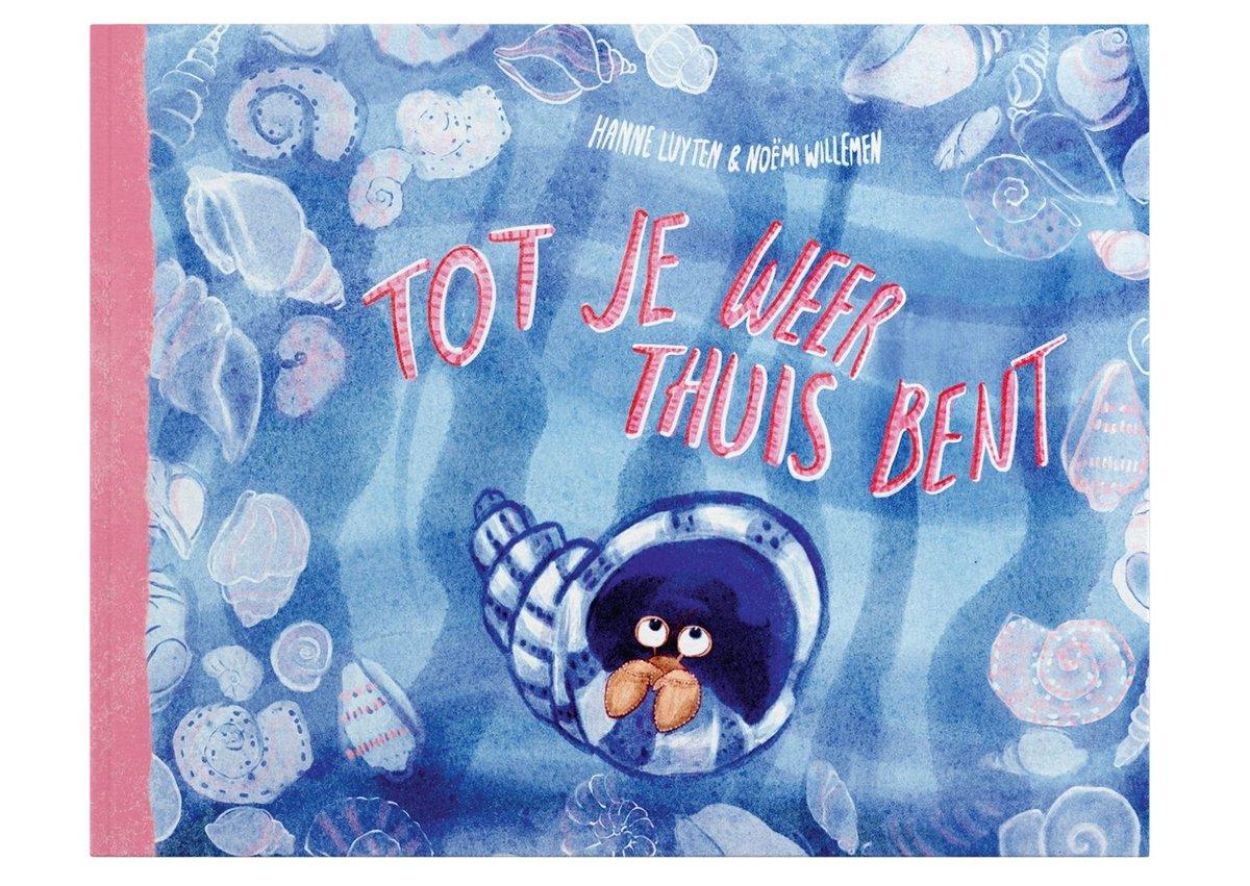 Hanne Luyten Tot je weer thuis bent (9789083530420) - SPADT - speelgoed met advies