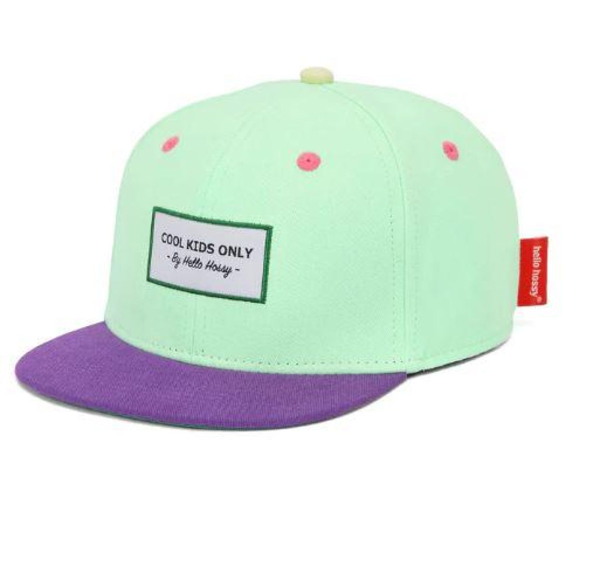 Hello Hossy Mini Mint Pet (HOSS-CMF142) - SPADT - speelgoed met advies