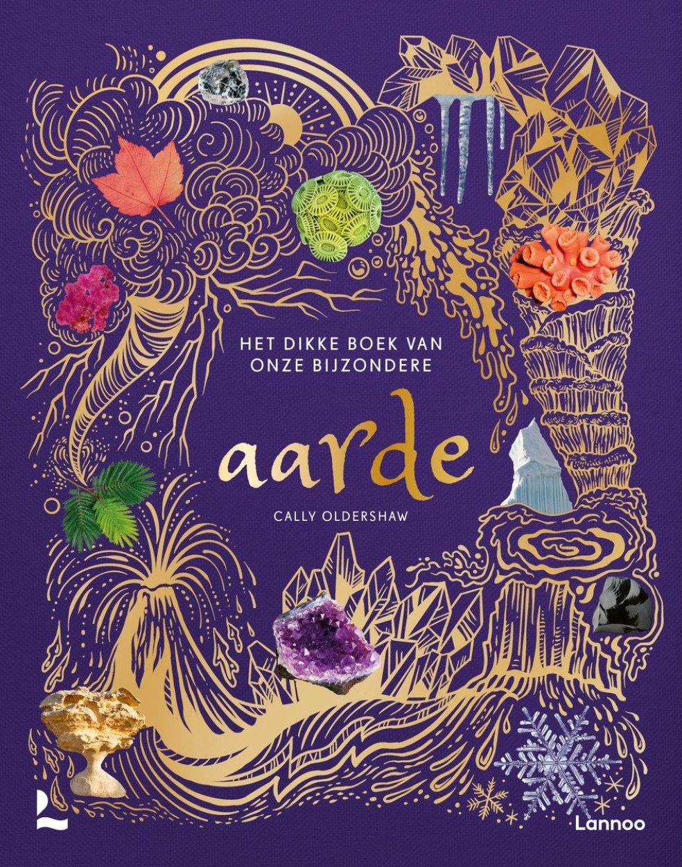 Lannoo Uitgeverij Het Dikke Boek van onze Bijzondere Aarde (LA96650) - SPADT - speelgoed met advies